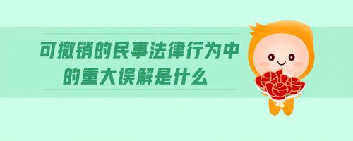 民事法律行为可被撤销