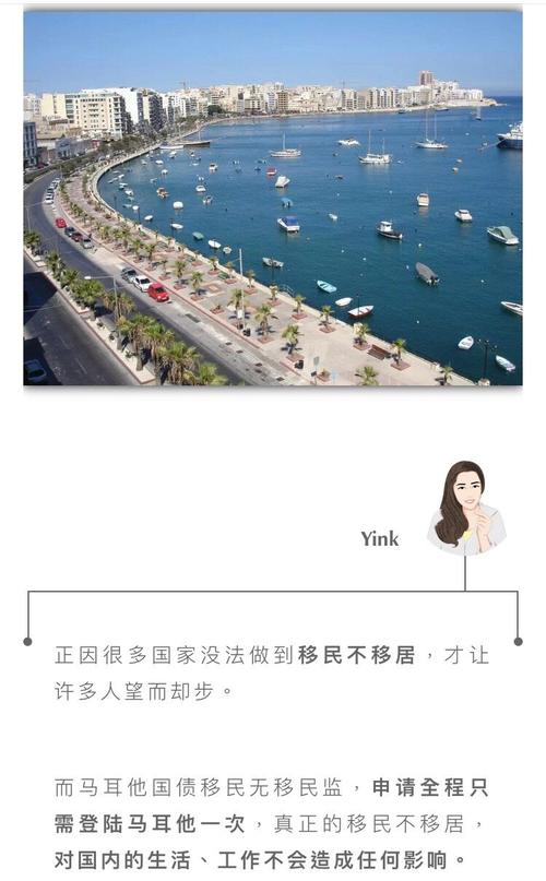 不会语言的移民是什么