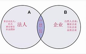 企业法人是什么意思是