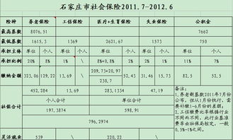 制定成功计划以优化养老保险缴费比例的策略